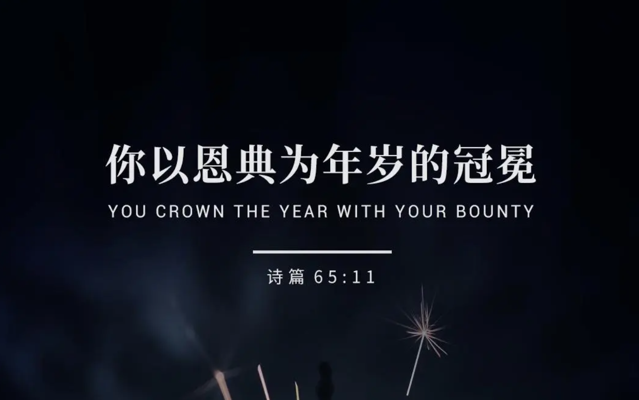 新年愿望 || 以翻译、授课和写作养家